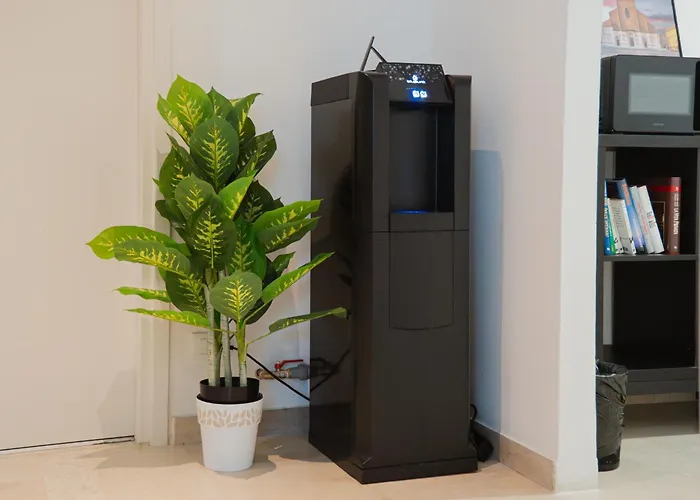 Made In Bo - Pensión 4*