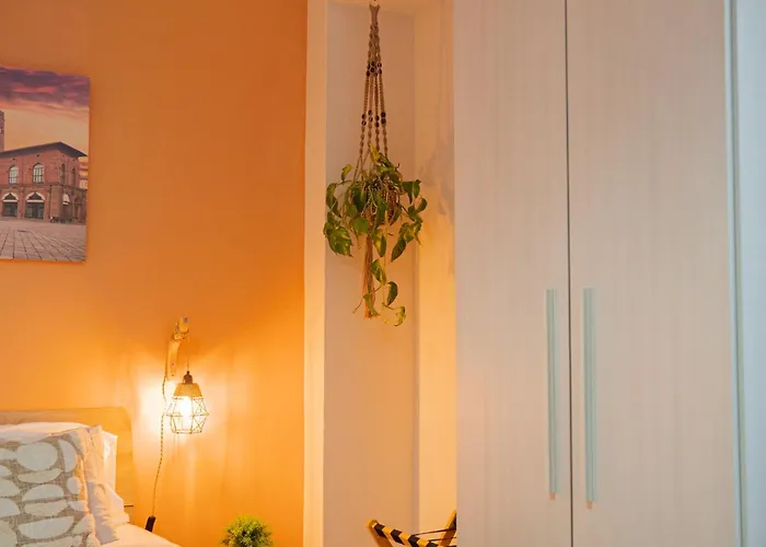 Made In Bo - Bolonia